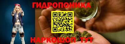 дмт Будённовск